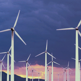 Article image: Alchemy One Awarded Green Employer Award 2021
