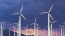Article image: Alchemy One Awarded Green Employer Award 2021