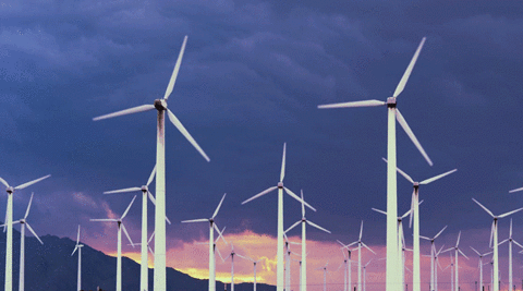 Alchemy One news article: Alchemy One Awarded Green Employer Award 2021
