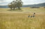 Project image: Westfund Health Insurance