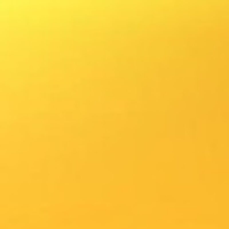 Alchemy One team member: